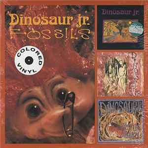 FLAC Dinosaur Jr. - Fossils