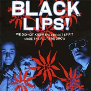 FLAC The Black Lips - We Did Not Know The Forest Spirit Made The Flowers Grow