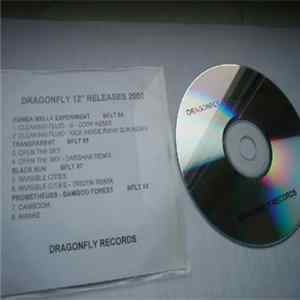 FLAC Various - Dragonfly 12" Releases 2002