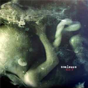 FLAC Coalesce - 0:12 Revolution In Just Listening