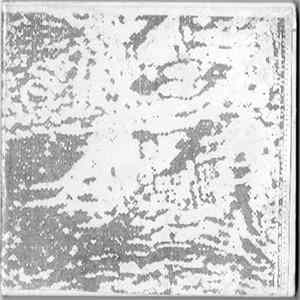 FLAC Various - We Didn't Come Here to Make Friends