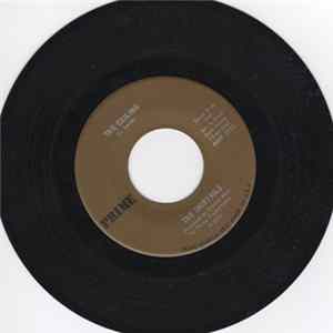 FLAC The Shirtails - The Ceiling / Stay Away From The Fog