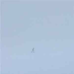 FLAC Skee Mask - Compro
