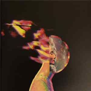 FLAC The Family Township - Light Years
