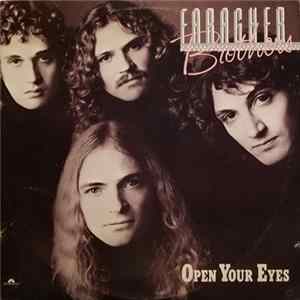 FLAC The Faragher Bros. - Open Your Eyes