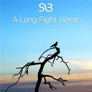 FLAC Static Noise Bird - A Long Flight Home