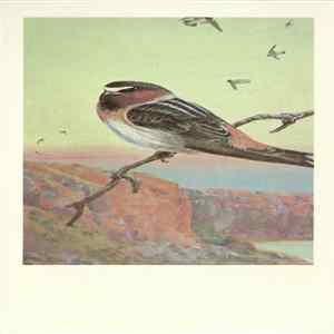 FLAC No Artist - Cliff Swallow