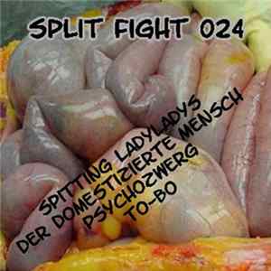 FLAC Spitting Ladyladys / Der Domestizierte Mensch / Psychozwerg / To-Bo - Split Fight 024