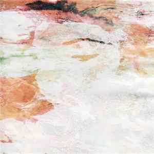 FLAC Roxanne Jean Polise - I'm Your Eating Disorder