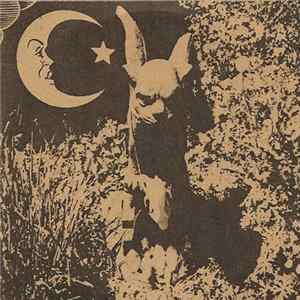 FLAC Swamp Horse - Oracle