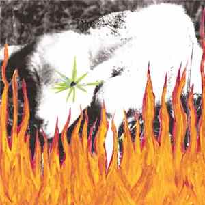 FLAC Arcane Rifles - Green Eyes Will Save You