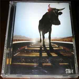 FLAC American Ambulance - Stray