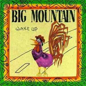 FLAC Big Mountain - Wake Up