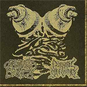 FLAC Psychotic Sufferance / Gorgonized Dorks - Psychotic Sufferance / Gorgonized Dorks
