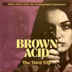 FLAC Various - Brown Acid: The Third Trip (Heavy Rock From The Underground Comedown)