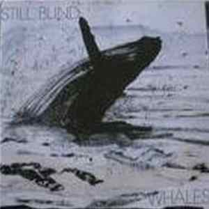 FLAC Still Blind - Whales