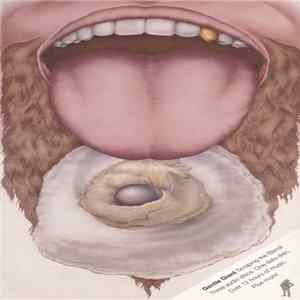 FLAC Gentle Giant - Scraping The Barrel