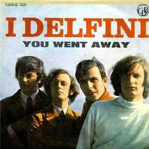FLAC I Delfini - You Went Away