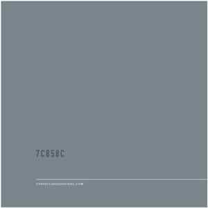 FLAC UNDISCLOSED - 7C858C