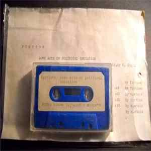 FLAC Fiction / N.Stolz - Some Acts Of Political Education / Parallel Zonen Musik
