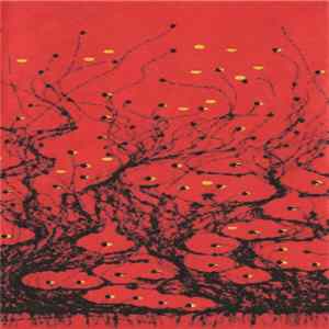 FLAC Patrizia Oliva & Metabolismus - Noumenon