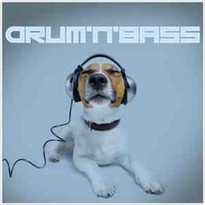 FLAC Various - Drum'n'Bass