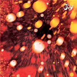 FLAC Joy - Joy