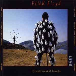 FLAC Pink Floyd - Delicate Sound Of Thunder