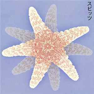FLAC スピッツ - スピッツ