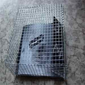 FLAC Scripta Manent - Les Chambres Interdites
