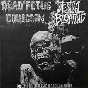 FLAC Intestinal Bloating / Dead Fetus Collection - Smelling The Purulence Of A Decaying World