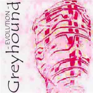 FLAC Greyhound - Evolution