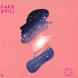 FLAC Blende - Fake Love