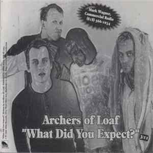 FLAC Archers Of Loaf - What Did You Expect?