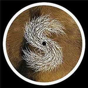 FLAC Strings Of Consciousness - Sonic Glimpses