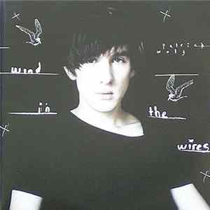 FLAC Patrick Wolf - Wind In The Wires