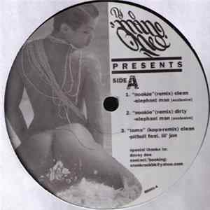 FLAC Various - Dj Mine Mel Presents