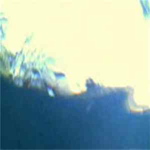 FLAC Human Terminal - Empty