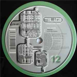 FLAC Paul Gaarn - Waterfall / Loop The Rhythm