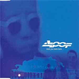 FLAC The Aloof - Wish You Were Here...
