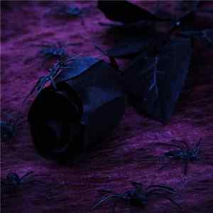FLAC Sorc3ry - Tenebra (33 Mn Version)