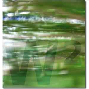 FLAC Eric La Casa - W² [1998-2008]