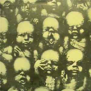 FLAC Liturgia - In Perpetuum