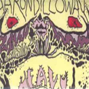 FLAC Aaron Dilloway - Heavy