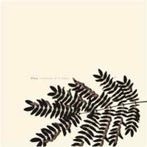 FLAC Flica - Windvane & Window