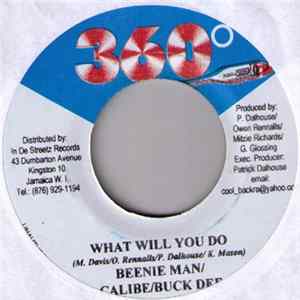 FLAC Beenie Man / Calibe / Buck Dee - What Will You Do