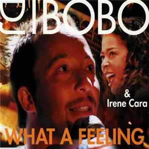 FLAC DJ BoBo & Irene Cara - What A Feeling