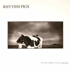 FLAC Rhythm Pigs - I'm Not Crazy I'm An Airplane