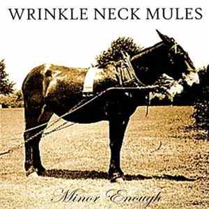 FLAC Wrinkle Neck Mules - Minor Enough