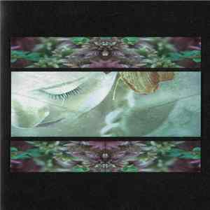 FLAC Damian R. Master - This Time I'll Find You